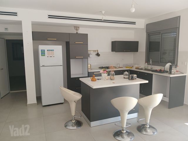 כלנית 8