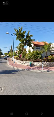 הר מצדה 63