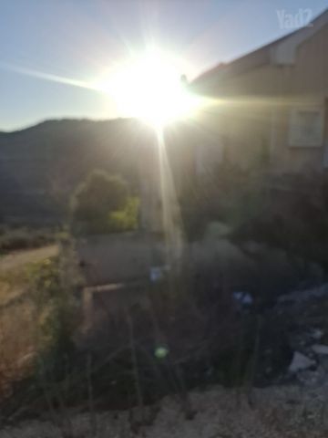 האחדות 1