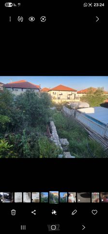 ספיר 19