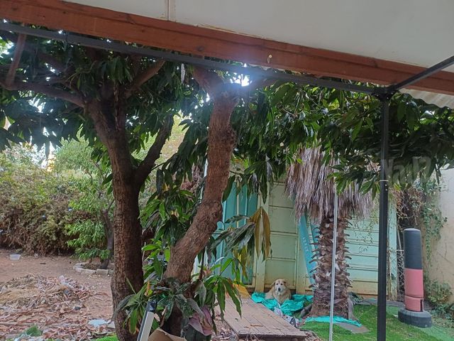 ארלוזורוב 14
