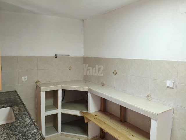 התאנה 29