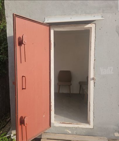 הברוש 1
