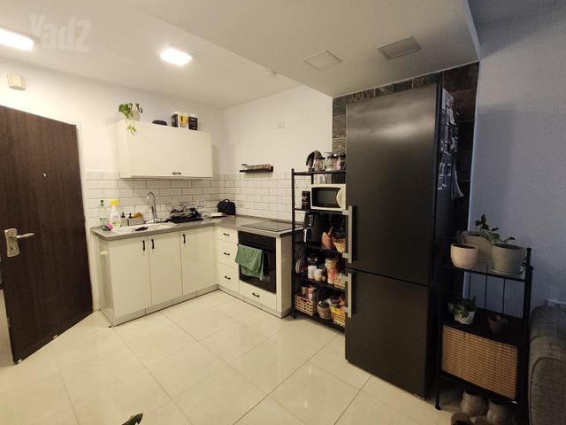 מוריה 11