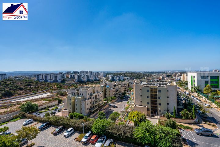 זית 