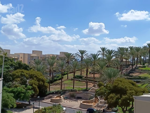 הרב שאולי 