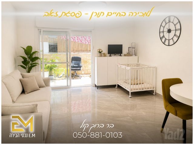 חיים תורן 