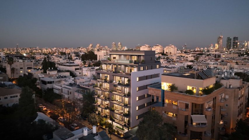 זנגביל 