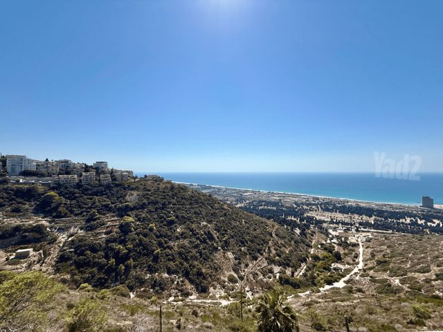 רענן 