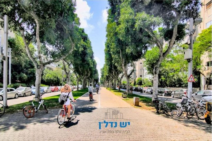 מודעת נכס, יחזקאל, הצפון הישן - החלק הצפוני, תל אביב יפו