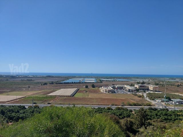 מגרשים