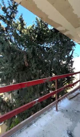 מודעת נכס, דיזנגוף, הצפון הישן - החלק הצפוני, תל אביב יפו
