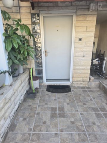 ליבנה 