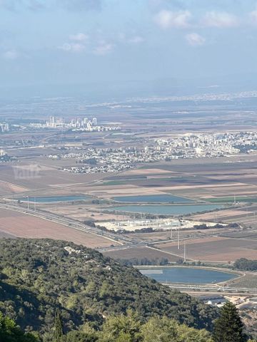 שדרות אבא חושי 