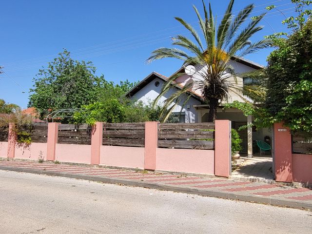 אורן 1
