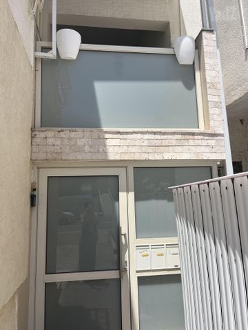 הארזים 7