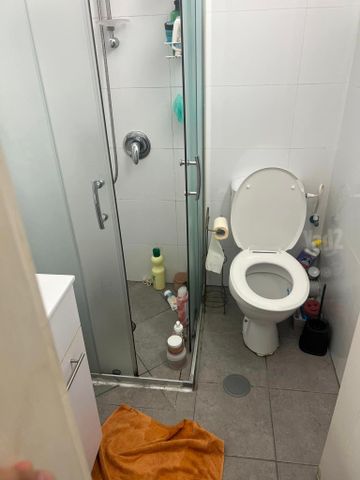 קדושי בלזן 2