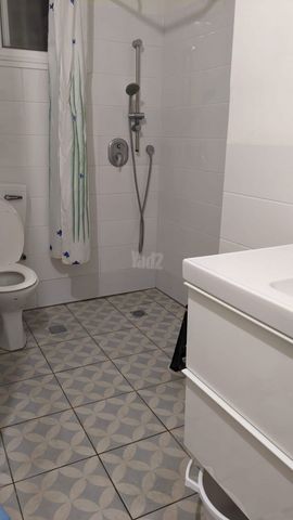 הנרקיסים 24