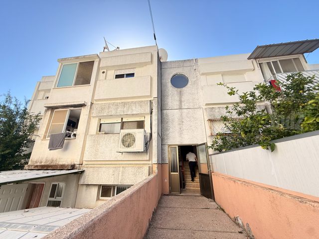 סיגליות 