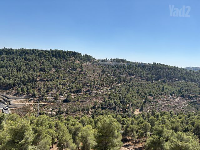 הרב רפאל קצנלבוגן 
