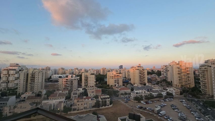 פנחס אילון 
