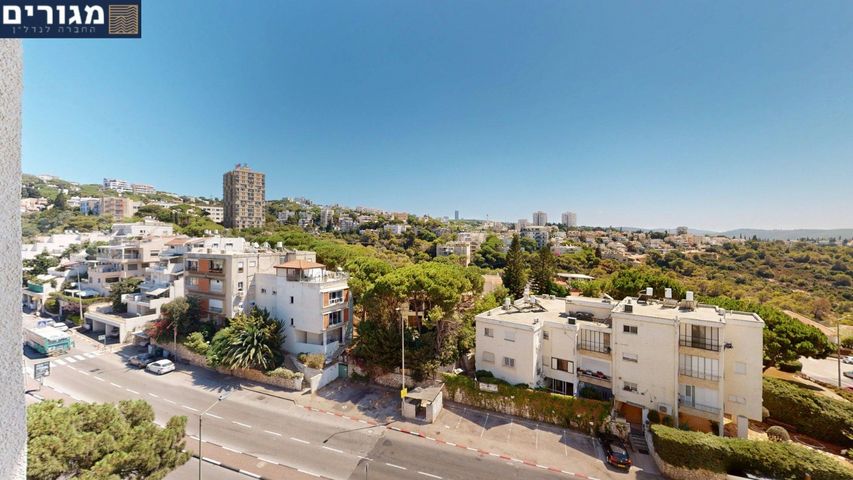 דרך פרויד 