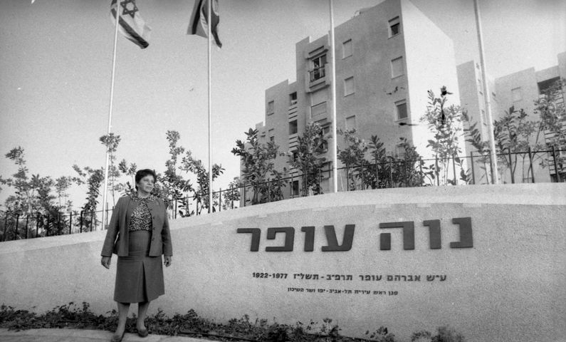 שקד 44