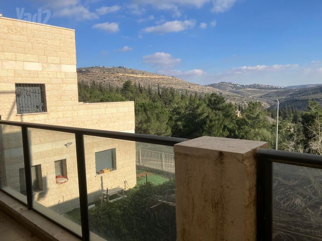 החורש 