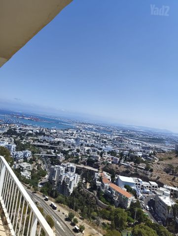 ליאון בלום 44