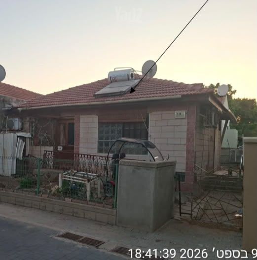 ימית 19