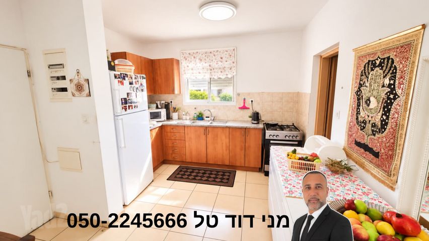 אלי כהן 