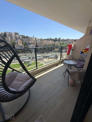 דוד צבי פנקס 3