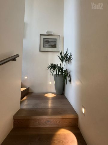 Tel Aviv-Yafo, Israel 6