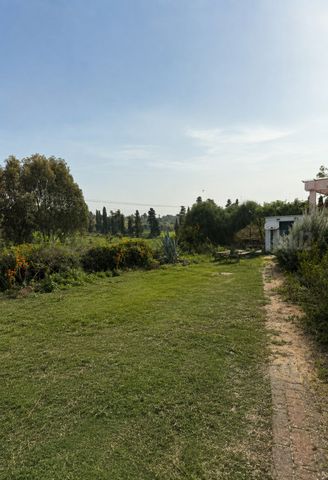 מגרשים