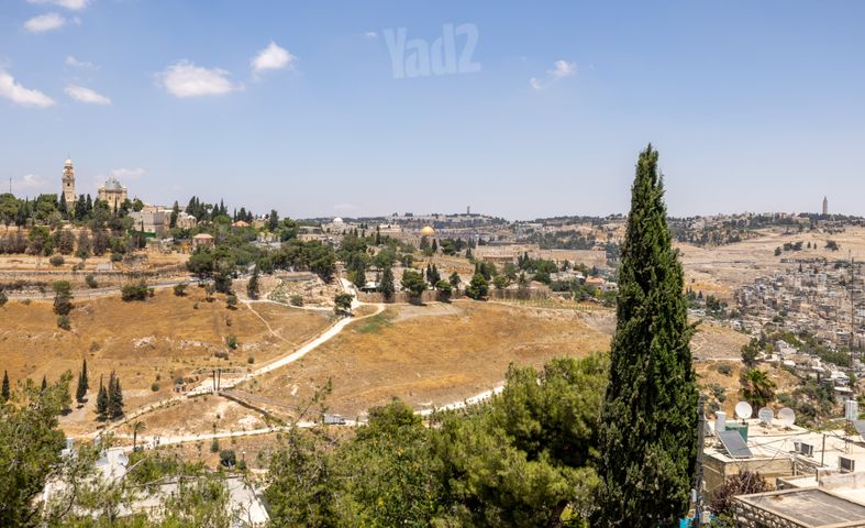 עין רוגל 