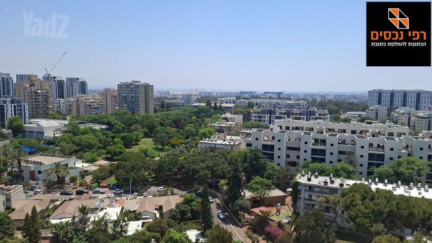 שלמה המלך 