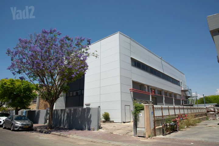אשלגן 25