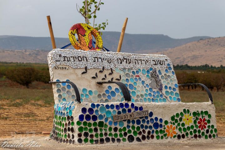 התמר 1