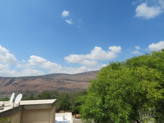 רמים 31