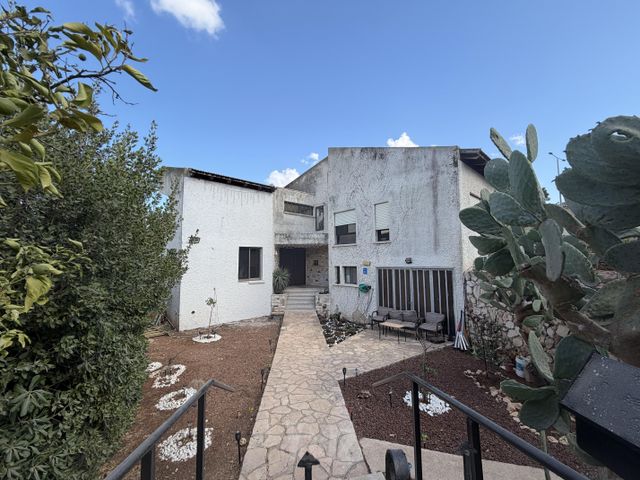 תירוש 12