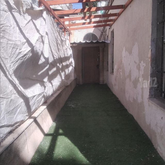 שאול המלך 14
