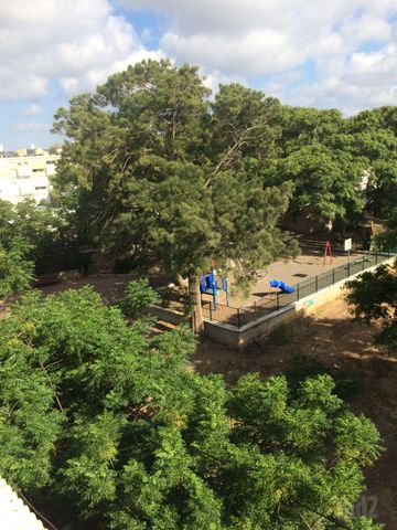 החרוב 214