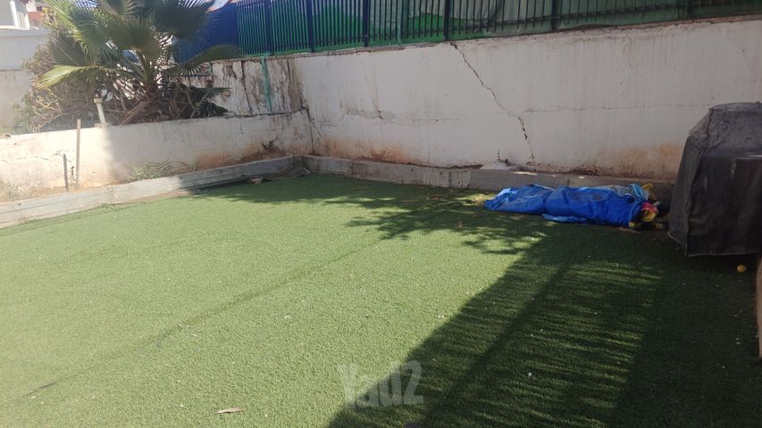 הארזים 37