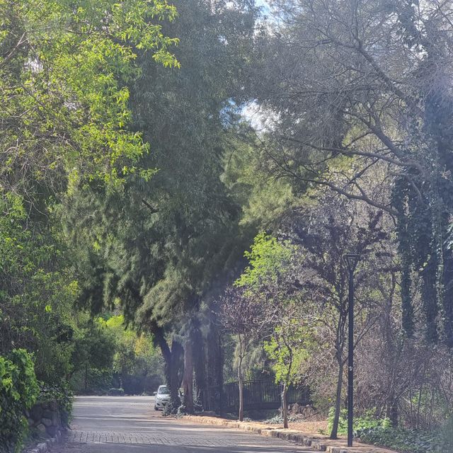 דרך בן אריה 