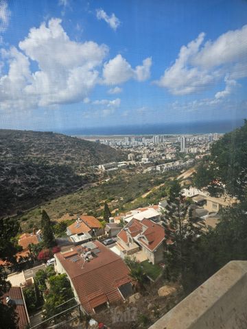 שארית הפליטה 
