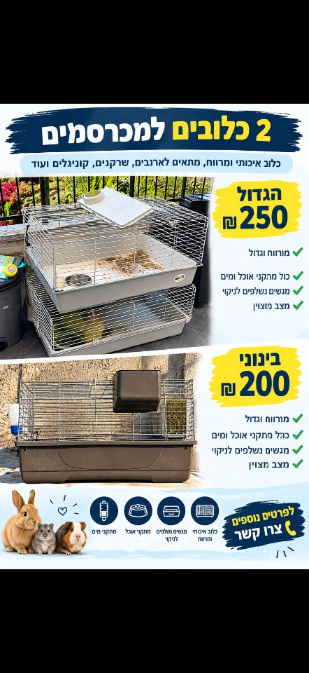 תמונת מודעה - חיות מחמד