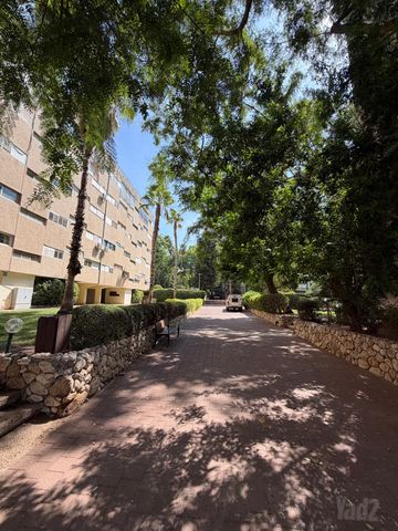צה"ל 85