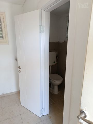 האורן 15