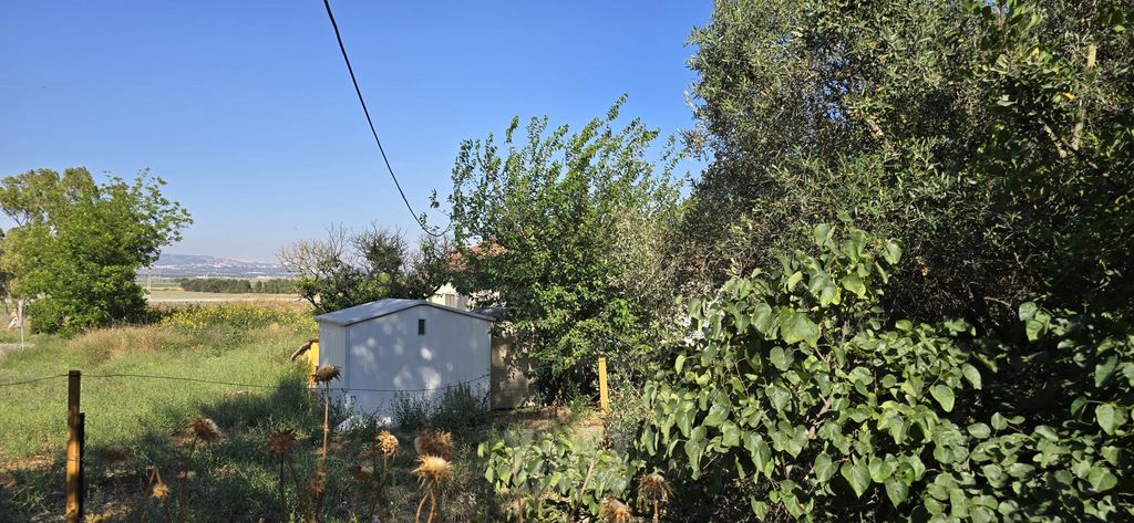 משק חקלאי/ נחלה