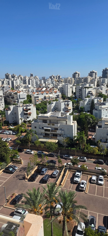 הנגיד 